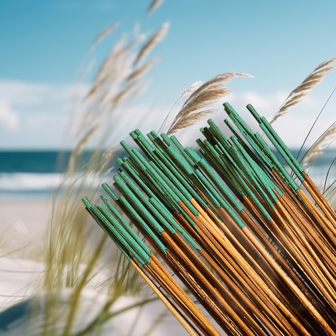 WILD_BERRY-Sea_Breeze-