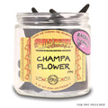 Champa Flower Backflow Cones